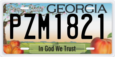 GA license plate PZM1821