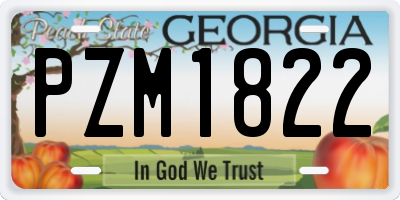 GA license plate PZM1822