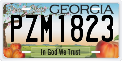GA license plate PZM1823