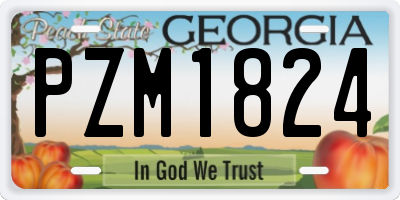 GA license plate PZM1824