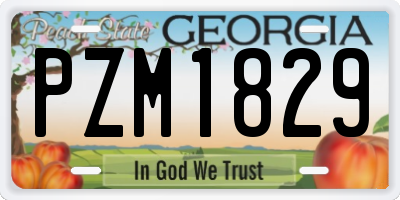 GA license plate PZM1829