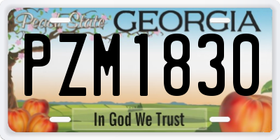 GA license plate PZM1830