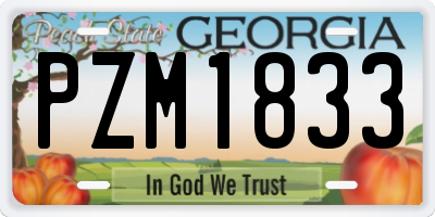 GA license plate PZM1833