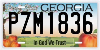 GA license plate PZM1836