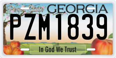GA license plate PZM1839