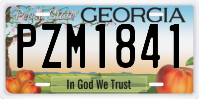GA license plate PZM1841