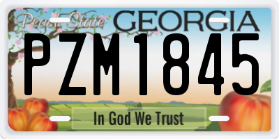 GA license plate PZM1845