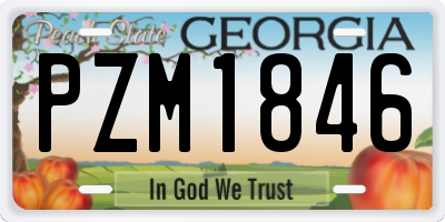 GA license plate PZM1846