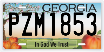 GA license plate PZM1853