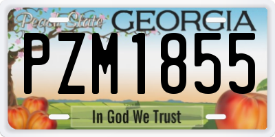 GA license plate PZM1855