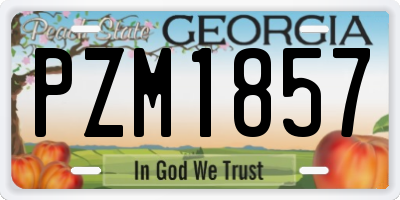 GA license plate PZM1857