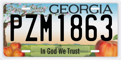 GA license plate PZM1863