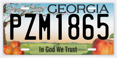 GA license plate PZM1865