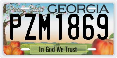 GA license plate PZM1869