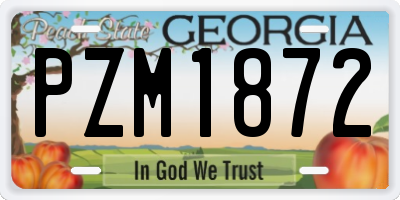 GA license plate PZM1872