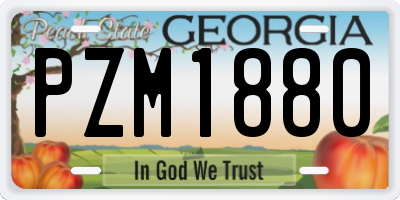 GA license plate PZM1880