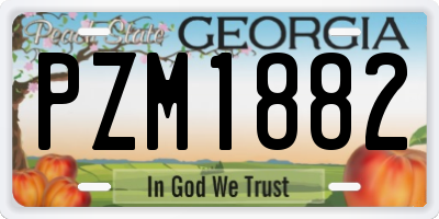 GA license plate PZM1882