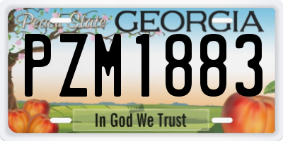 GA license plate PZM1883
