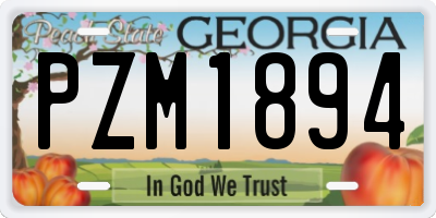 GA license plate PZM1894