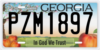 GA license plate PZM1897