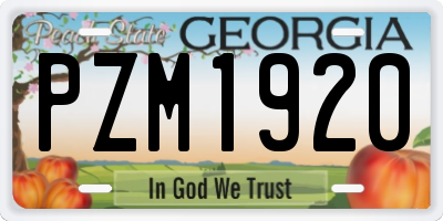 GA license plate PZM1920