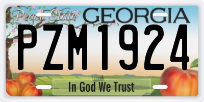 GA license plate PZM1924