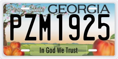 GA license plate PZM1925