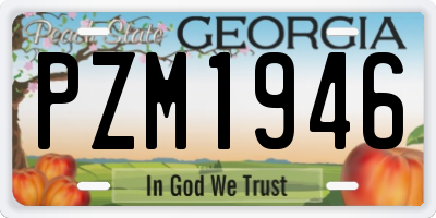 GA license plate PZM1946