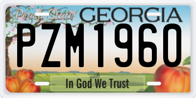 GA license plate PZM1960