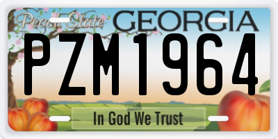 GA license plate PZM1964