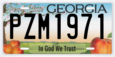 GA license plate PZM1971