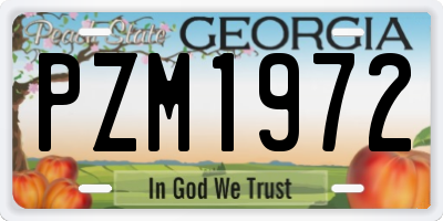 GA license plate PZM1972