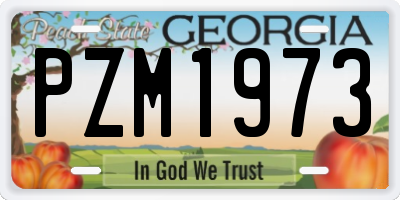 GA license plate PZM1973