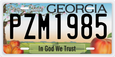 GA license plate PZM1985