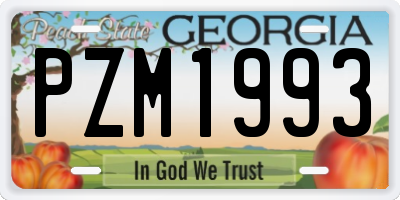 GA license plate PZM1993