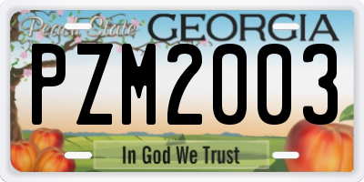 GA license plate PZM2003