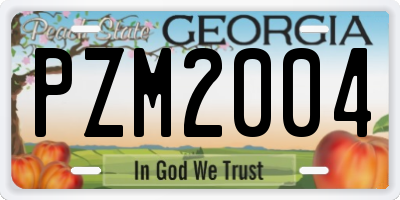 GA license plate PZM2004