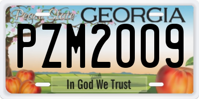 GA license plate PZM2009