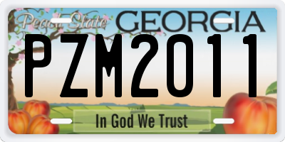 GA license plate PZM2011