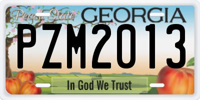 GA license plate PZM2013