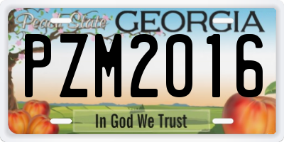 GA license plate PZM2016