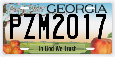 GA license plate PZM2017