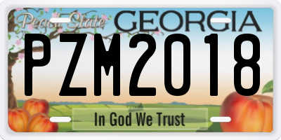 GA license plate PZM2018