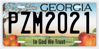 GA license plate PZM2021