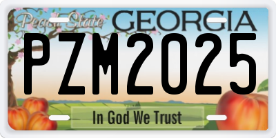 GA license plate PZM2025