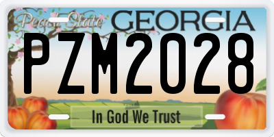 GA license plate PZM2028