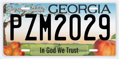 GA license plate PZM2029