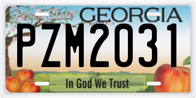 GA license plate PZM2031