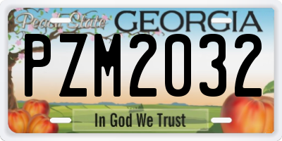 GA license plate PZM2032