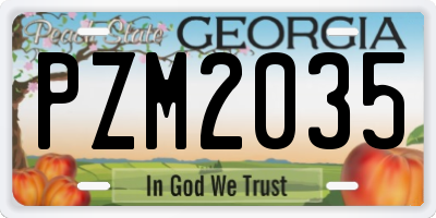 GA license plate PZM2035